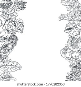 Vector background with hand drawn different kinds of lettuce 