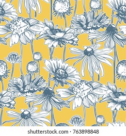 vector background hand drawn engraving flower rudbeckia pattern