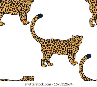 Featured image of post Cute Pattern Wallpaper Cheetah Muzzle cheetah hunt sneaks profile