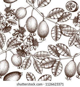 Vector background with hand drawn feijoa illustration. Engraved botanical sketch of myrtle plants, flowers, fruits, leaves. Vintage tropical fruit design. Pineapple guava seamless pattern. 