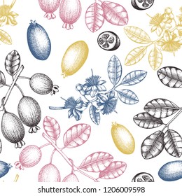 Vector background with hand drawn feijoa illustration. Engraved botanical sketch of flowers, fruits, leaves. Vintage tropical fruit design. Pineapple guava seamless pattern. 