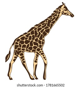 Vector background hand drawn giraffe. Hand drawn ink illustration. Modern ornamental decorative background. Print for textile, cloth, wallpaper, scrapbooking