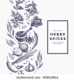 Vector background with hand drawn herbs and spices. Organic and fresh spices illustration.