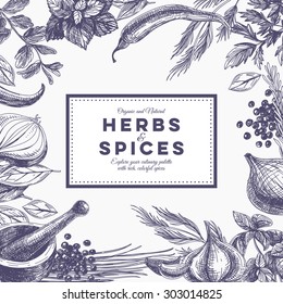 Vector background with hand drawn herbs and spices. Organic and fresh spices illustration.