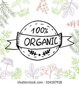 Vector background with hand drawn herbs and spices Organic and fresh spices illustration.