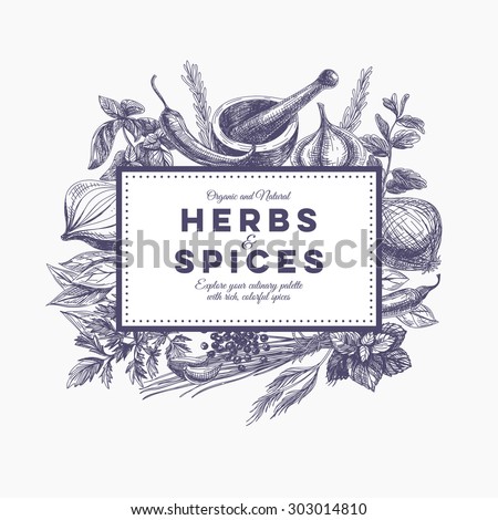 Vector background with hand drawn herbs and spices. Organic and fresh spices illustration.
