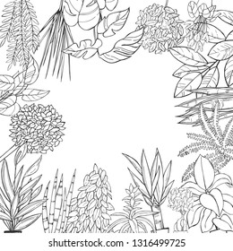 Vector background with hand drawn houseplants. Sketch  illustration.