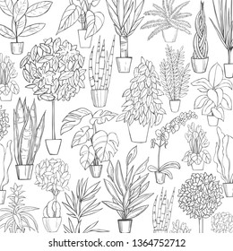 Vector background with hand drawn houseplants. Sketch  illustration.