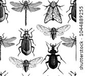 Vector background with hand drawn insects illustrations. Black butterfly, cicada, beetle, bug, dragonfly drawing. Entomological seamless pattern.