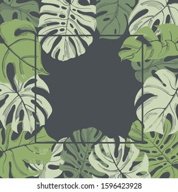 Vector background  with hand drawn Monstera leaves . Sketch illustration.