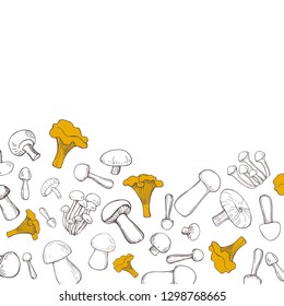 Vector background  with hand drawn mushrooms. Sketch  illustration.