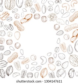 Vector background with hand drawn nuts. Sketch  illustration.