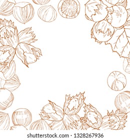  Vector background with hand drawn nuts. Hazelnut nut.  Sketch  illustration.
