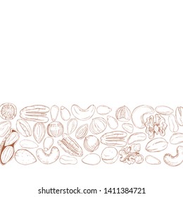 Vector background with hand drawn nuts. Sketch  illustration.