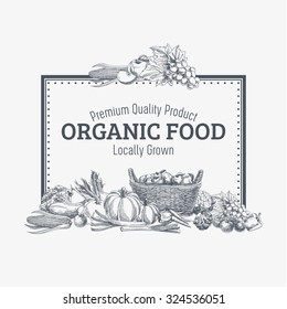 Vector background with hand drawn organic food. Vegetable and fruits spices illustration.