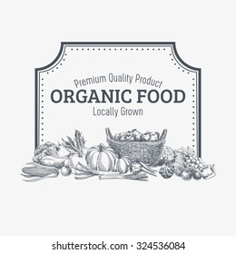 Vector background with hand drawn organic food. Vegetable and fruits spices illustration.