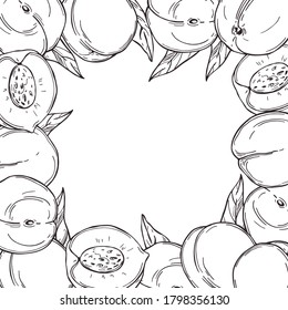 Vector background with hand drawn peaches.  