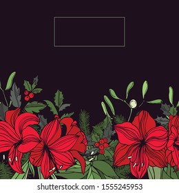 Vector background with hand drawn red amaryllis and Christmas plants. Sketch illustration.