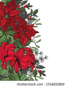 Vector background with hand drawn red poinsettias and Christmas plants. Sketch illustration.
