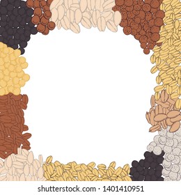 Vector background with hand drawn  seeds.  