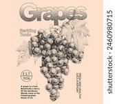 Vector background with hand drawn sketch illustration of grapes, Typography posters design. Simple pencil drawing. Print, banner, label, cover or t-shirt