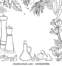 Vector background with hand drawn spices and herbs. Sketch  illustration.
