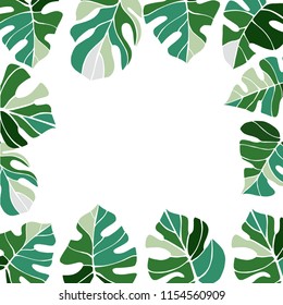 Vector background  with  hand drawn tropical plants. Monstera plant.