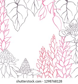 Vector background  with  hand drawn tropical plants. Leaves and flowers.