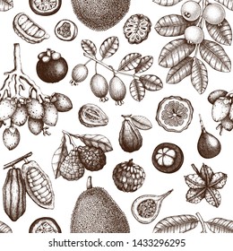 Vector background with hand drawn tropical fruits illustration. Vintage designwith  leaves, fruits, flowers, nuts, beans sketches. Exotic plants seamless pattern. Botanical outlines.