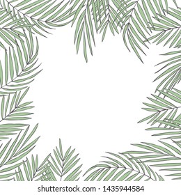 Vector background  with  hand drawn tropical plants. Palm leaves.