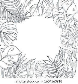 Vector background  with  hand drawn tropical plants. Sketch illustration.