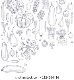 Vector background with  hand drawn vegetables  