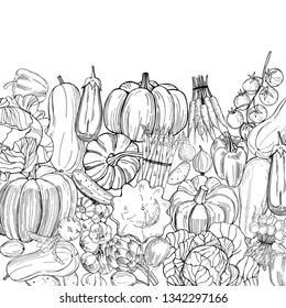 Vector background with  hand drawn vegetables. Sketch  illustration.  