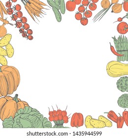 Vector background with  hand drawn vegetables. Sketch  illustration.  