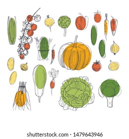 Vector background with  hand drawn vegetables. Sketch  illustration.  