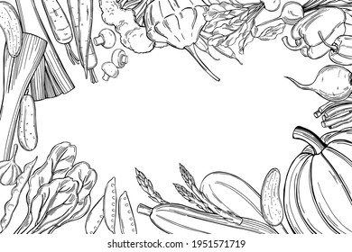 Vector background with  hand drawn vegetables. Sketch  illustration.  