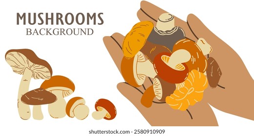 Vector background hand holding edible mushrooms. The concept of collecting and growing mushrooms.