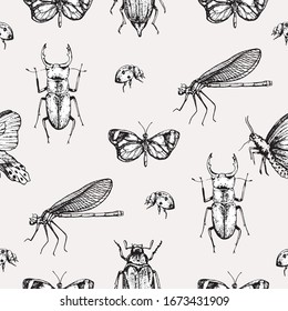 Vector background with hand made illustration of insects. Black butterfly, bug, dragonfly drawing. Entomological seamless pattern.