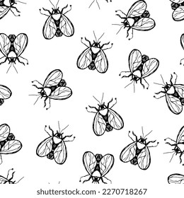 Vector background with hand-drawn illustrations of insects. Drawing fly beetle moth. Entomological seamless pattern.