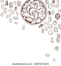 Vector background with hand-drawn nuts. Sketch  illustration.