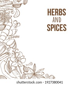 Vector background with handmade herbs and spices. Organic and fresh spices illustration.