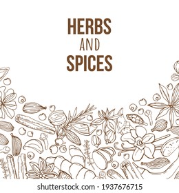 Vector background with handmade herbs and spices. Organic and fresh spices illustration.	
