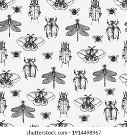 Vector background with handmade insects. Butterfly, beetle, dragonflies.