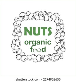 Vector background with hazelnut sketches. Template with place for text. Flyer, booklet for advertising and design. Linear silhouettes of hazelnuts. Organic food.