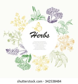 Vector background with herbs in a circle. Vector  illustration for your design