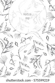 Vector background with herbs and spices. Illustration of plant natural organic condiment. Herbal black and white design