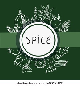 Vector background with herbs and spices. Natural organic ingredient, plant spice label. Illustration.