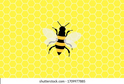 Vector background with honeycomb and bees