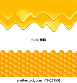 vector background with honeycombs and honey
