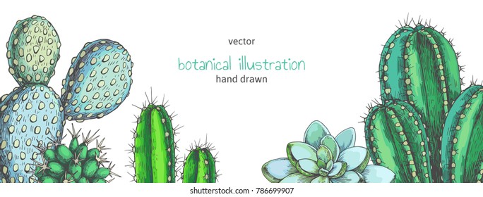 Vector background with houseplants. Vintage color illustration with cactuses and succulents for design. Natural texture with floral elements in engraving style